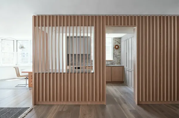 پارتیشن خانگی